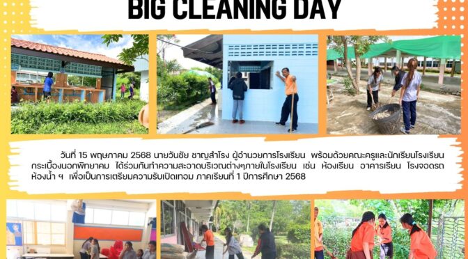 BIG CLEAN DAY